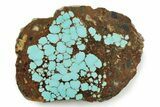 Polished Turquoise Slab - Number Mine, Carlin, NV #245503-1